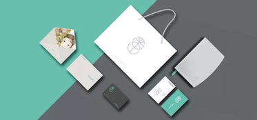 2017德國紅點(diǎn)設(shè)計(jì)大獎(jiǎng)（平面類）獲獎(jiǎng)作品完整版 設(shè)計(jì)洞察與翻譯解讀